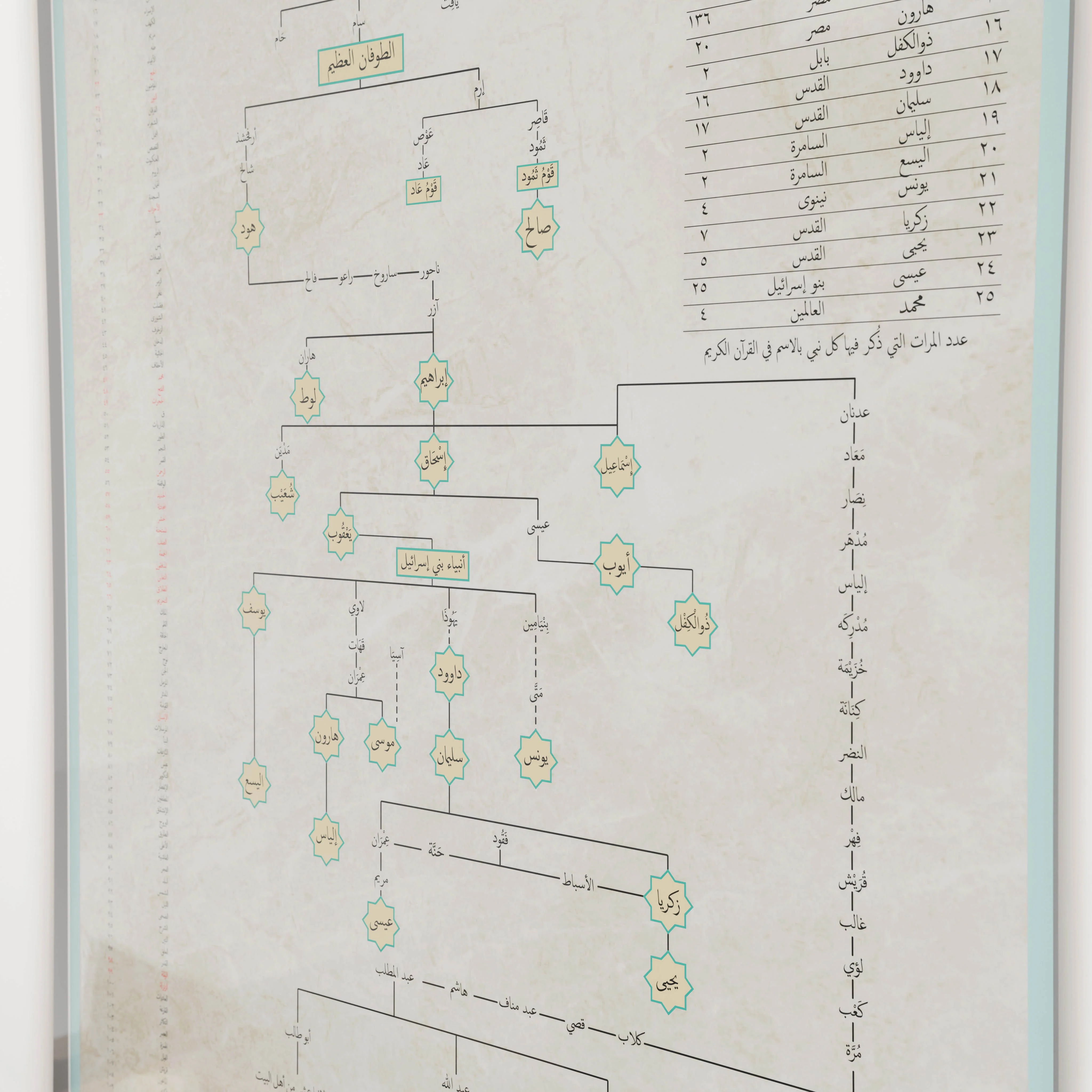 Islamic Prophet Family Tree - English Educational Poster - Image 10